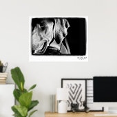 Weimaraner Nation: "The Gray Ghost"-Printwerbung Poster (Heimbüro)
