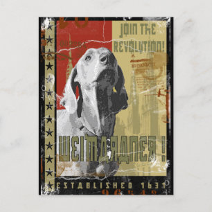 Weimaraner Nation : Vintage Weimaraner! Postkarte