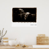 Weimaraner Nation: Weimaraner im Schatten Poster (Küche)