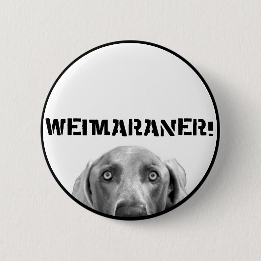 Weimaraner Nation: Weimaraner in einem Kasten! Button (Vorderseite)