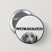 Weimaraner Nation: Weimaraner in einem Kasten! Button (Vorne & Hinten)