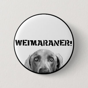 Weimaraner Nation: Weimaraner in einem Kasten! Button