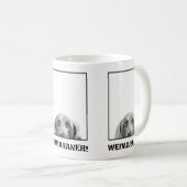 Weimaraner Nation: Weimaraner in einer Kaffeetasse (VorderseiteRechts)