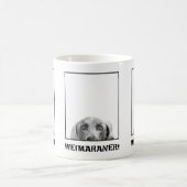 Weimaraner Nation: Weimaraner in einer Kaffeetasse (Mittel)