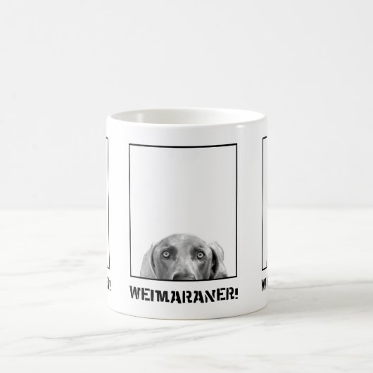 Weimaraner Nation: Weimaraner in einer Kaffeetasse (Mittel)