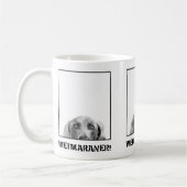 Weimaraner Nation: Weimaraner in einer Kaffeetasse (Links)