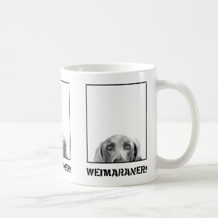 Weimaraner Nation: Weimaraner in einer Kaffeetasse