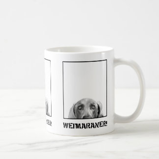 Weimaraner Nation: Weimaraner in einer Kaffeetasse