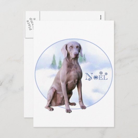 Weimaraner Noel Feiertagspostkarte (Vorne/Hinten)