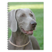 Weimaraner Notizblock (Vorderseite)