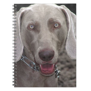 Weimaraner Notizblock