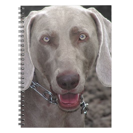Weimaraner Notizblock (Vorderseite)