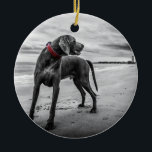 Weimaraner on Beach B&W Photo w/ Red Collar Keramik Ornament<br><div class="desc">This photograph of a dog on a beach brings forth so many questions ... why is the dog looking back? Where is his master? Is there a storm rolling in? The photo is in black and white, yet the Weimaraner's collar is red. This picture has so many awesome elements in...</div>