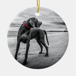 Weimaraner on Beach B&W Photo w/ Red Collar Keramik Ornament
