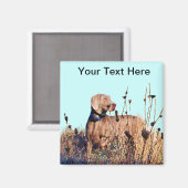 Weimaraner on Retrieve Magnet (Vorderseite/Rückseite)