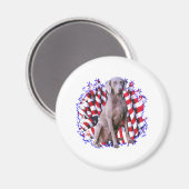 Weimaraner Patriot Magnet (Vorderseite/Rückseite)