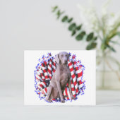 Weimaraner Patriot Postkarte (Stehend Vorderseite)