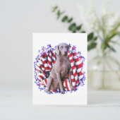 Weimaraner Patriot Postkarte (Stehend Vorderseite)