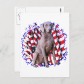 Weimaraner Patriot Postkarte (Vorne/Hinten)
