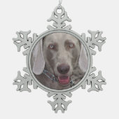 Weimaraner Pewter Snowflake Ornament (Vorderseite)