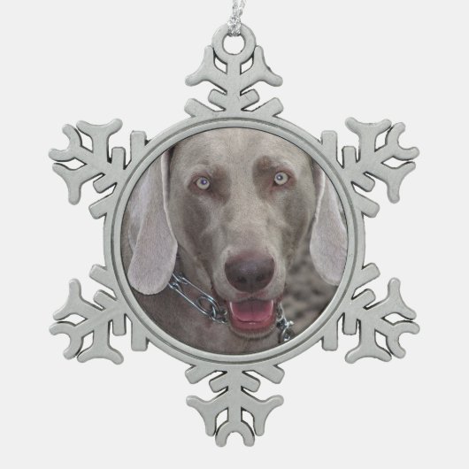 Weimaraner Pewter Snowflake Ornament (Vorderseite)