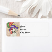 Weimaraner Pirate (Insitu)