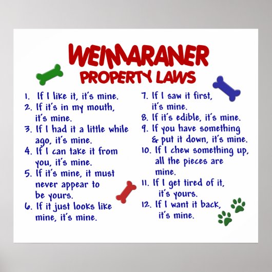 WEIMARANER PL2 POSTER (Vorne)