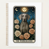 Weimaraner Planer (Vorderseite)