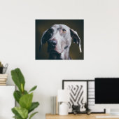 Weimaraner Portrait Poster (Heimbüro)