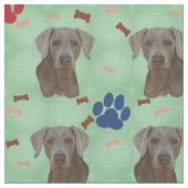 Weimaraner Portrait Stoff (Nahaufnahme)