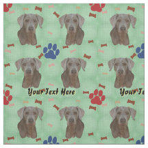Weimaraner Portrait