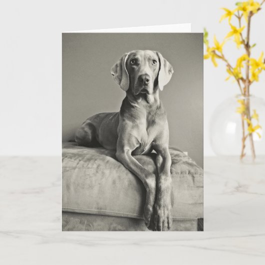 Weimaraner Porträt Karte (Gelbe Blume)