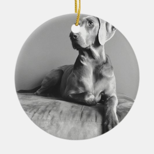 Weimaraner Porträt Keramik Ornament (Vorne)