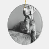 Weimaraner Porträt Keramik Ornament (Links)