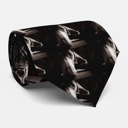 Weimaraner Porträt Krawatte (Gerollt)