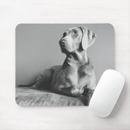 Weimaraner Porträt Mousepad (Mit Mouse)