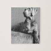 Weimaraner Porträt Puzzle (Vertikal)