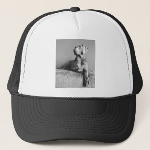 Weimaraner Porträt Truckerkappe