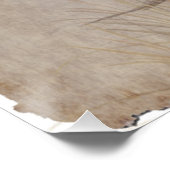 Weimaraner Poster (Ecke)