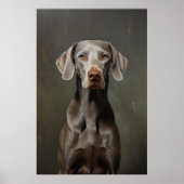 Weimaraner Poster (Vorne)