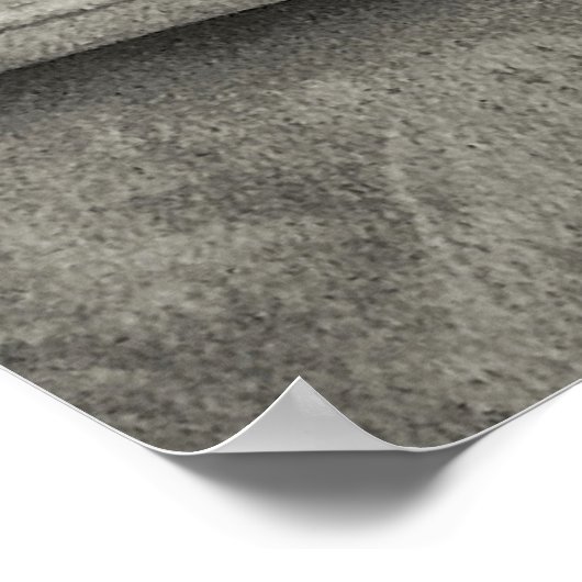 Weimaraner Poster (Ecke)