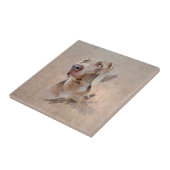 Weimaraner Poster Canvas Print Tapestes Acryl Pr Fliese (Seite)
