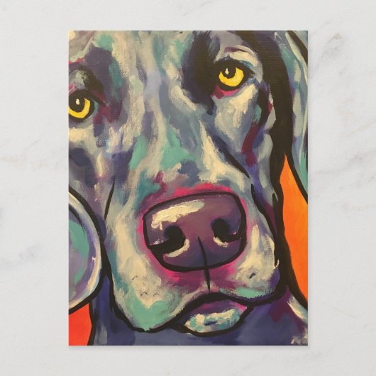 Weimaraner Postkarte (Vorderseite)