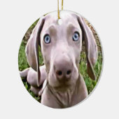 WEIMARANER PUPPY CHRISTMAS ORNANAS KERAMIKORNAMENT (Links)