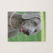 Weimaraner Puzzle (Horizontal)