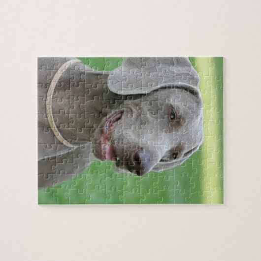 Weimaraner Puzzle (Horizontal)
