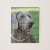 Weimaraner Puzzle (Vertikal)