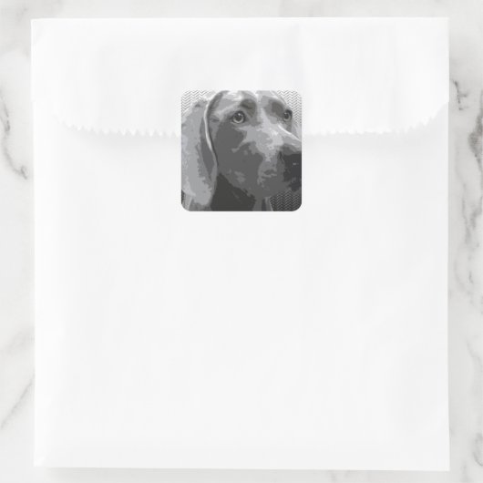 Weimaraner Quadratischer Aufkleber (Tasche)