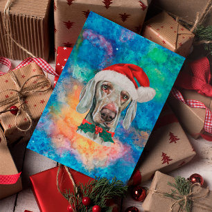 Weimaraner-Rassehund Weihnachten