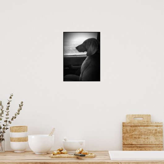 Weimaraner Riding Shotgun - Leinwand Poster (Küche)